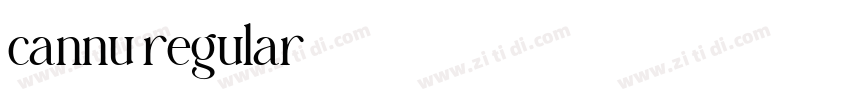 cannu regular字体转换